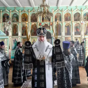 AGDG2481 копия