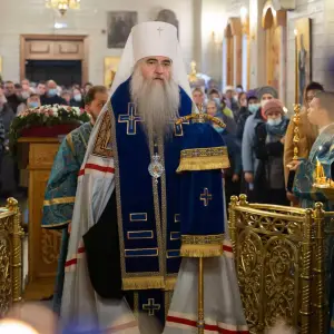 AGDG2541 копия