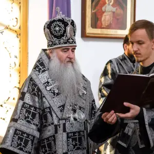 AGDG3076 копия
