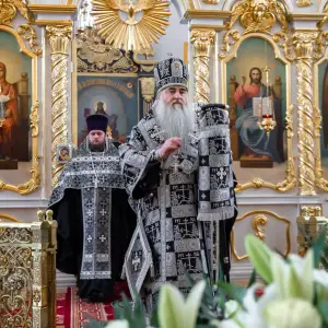 AGDG5520 копия