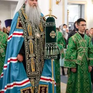 AGDG8162 копия