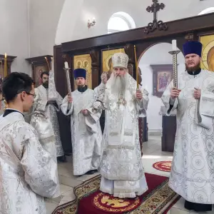 AGDG8993 копия