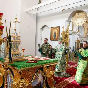 AGDG9194 копия