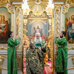 AGDG9208 копия