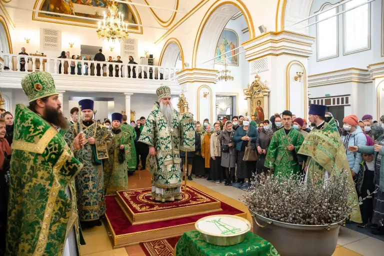 В Симбирской епархии отметили Вход Господень в Иерусалим. Видео