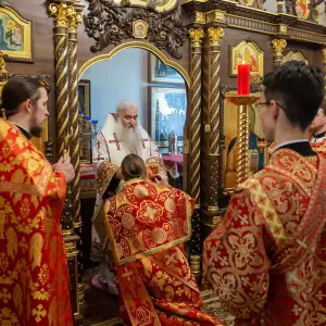 AGDG1349 копия