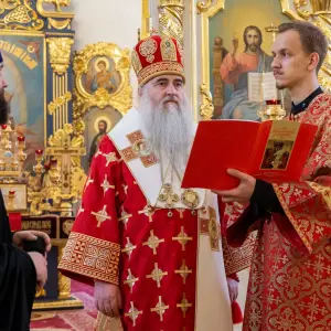 AGDG1440 копия