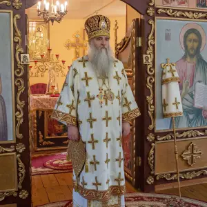 AGDG2088 копия