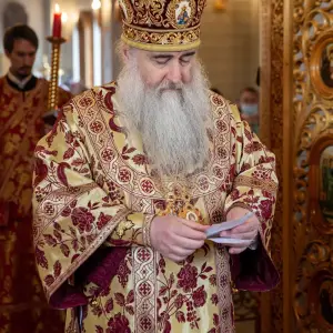 AGDG2133 копия