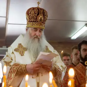 AGDG2454 копия