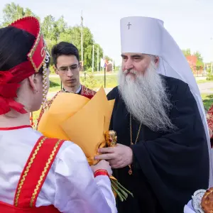 AGDG4313 копия
