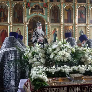 AGDG6448 копия