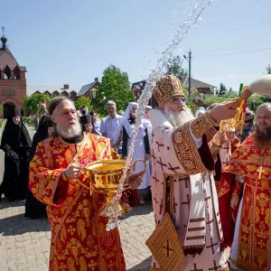 AGDG7655 копия