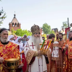 AGDG7748 копия