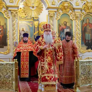 AGDG8336 копия