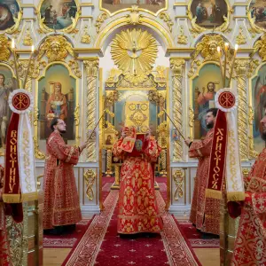 AGDG8541 копия