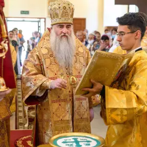 AGDG0859 копия