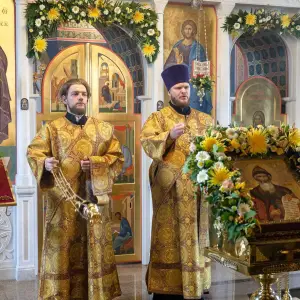 AGDG0988 копия