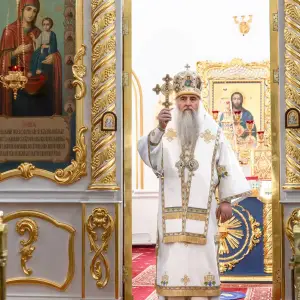 AGDG1365 копия