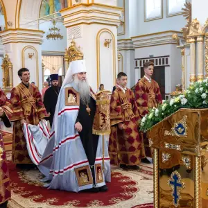 AGDG2459 копия