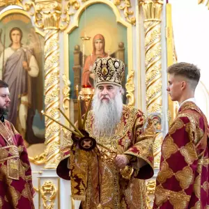 AGDG2878 копия