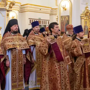 AGDG3134 копия