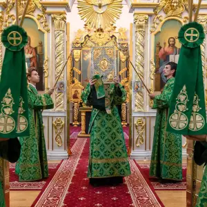 AGDG3921 копия
