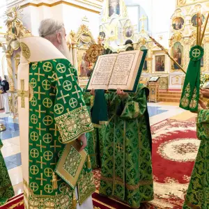 AGDG3941 копия