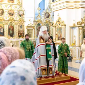 AGDG4116 копия