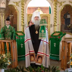 AGDG4353 копия
