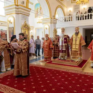 AGDG4456 копия