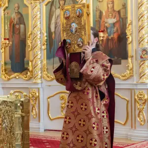AGDG4493 копия
