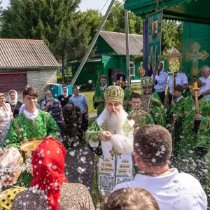 AGDG5248 копия