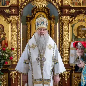 AGDG6995 копия