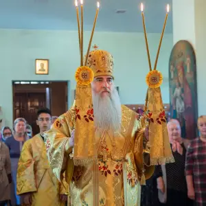 AGDG9594 копия