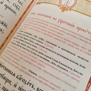 20210819_101134 копия