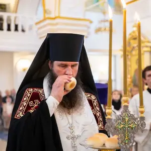 AGDG1529 копия