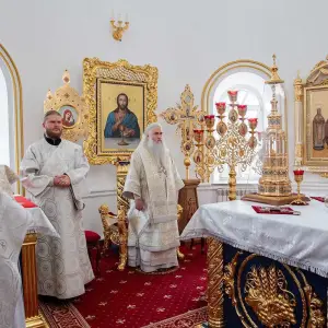 AGR_1384 копия