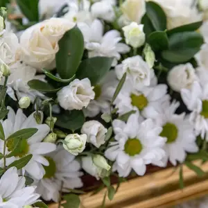 AGR_2294 копия