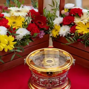 AGR_3784 копия