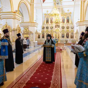 AGR_2859 копия