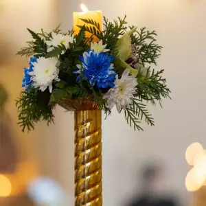 AGR_3151 копия
