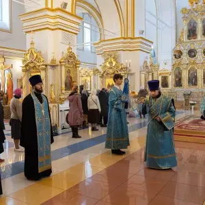 AGR_3233 копия