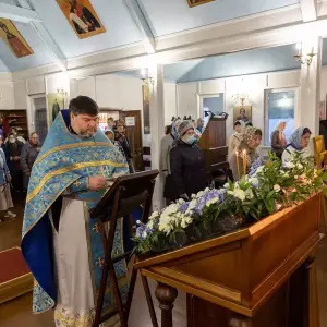 AGR_4285 копия