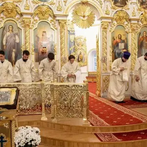 AGR_7680 копия