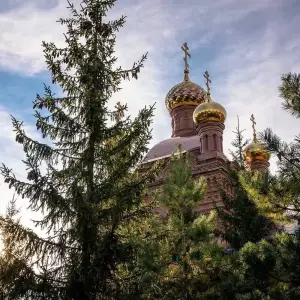 AGR_8066 копия