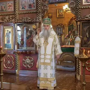 AGR_8608 копия