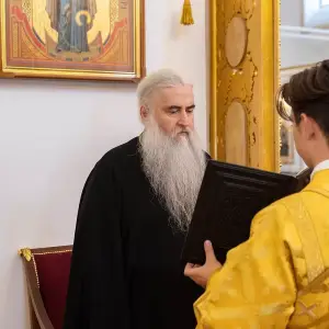 AGR_9292 копия
