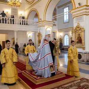 AGR_9561 копия