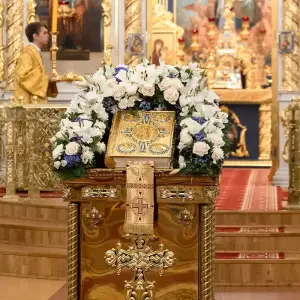 AGR_9832 копия